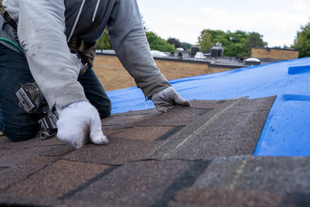 Best Storm Damage Roof Repair  in East Rochester, NY